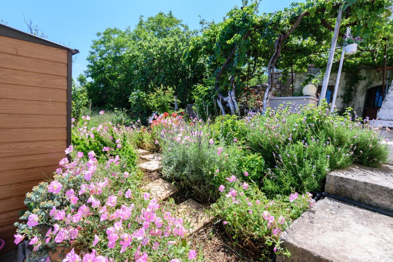 Casa Vasilia Traditional Home Kástellos エクステリア 写真