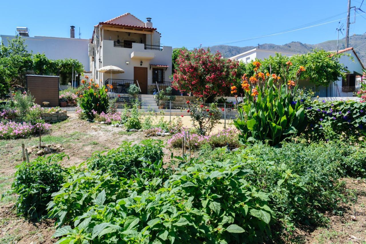 Casa Vasilia Traditional Home Kástellos エクステリア 写真